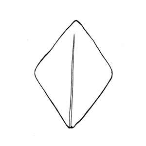 Rhombic:|:菱形:|:菱形