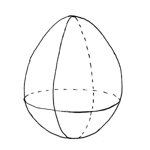 Ovoid:|:卵球形的:|:卵球形的