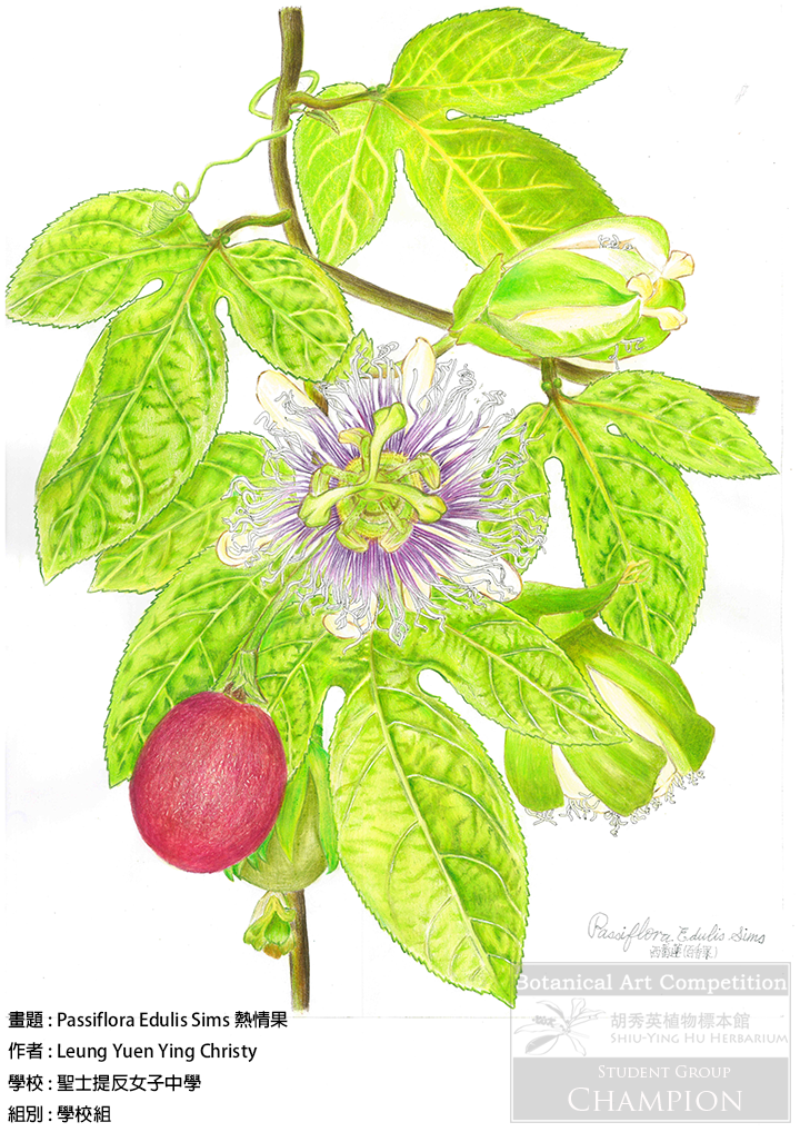<i>Passiflora Edulis Sims</i>