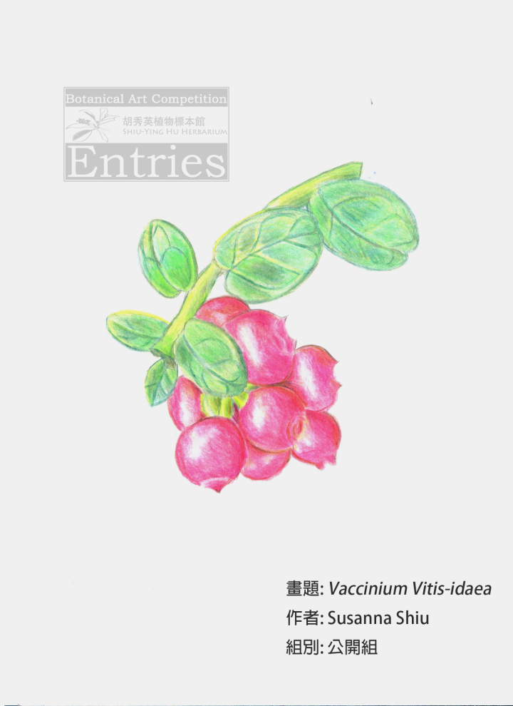 Vaccinium Vitis-idaea</i>