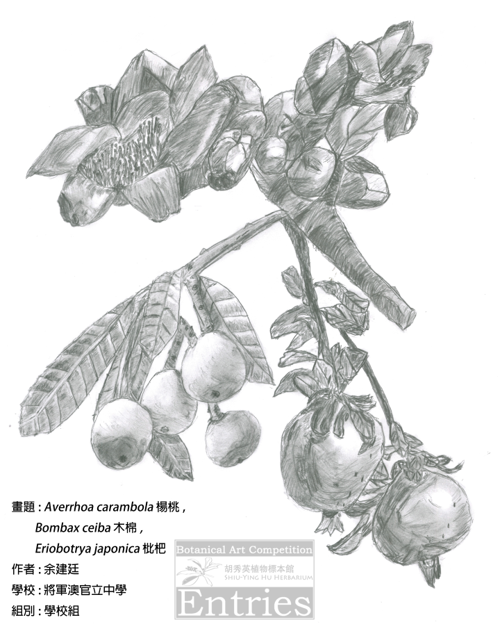 <i>Averrhoa carambola</i> 楊桃, <i>Bombax ceiba</i> 木棉, <i>Eriobotrya japonica</i> 枇杷